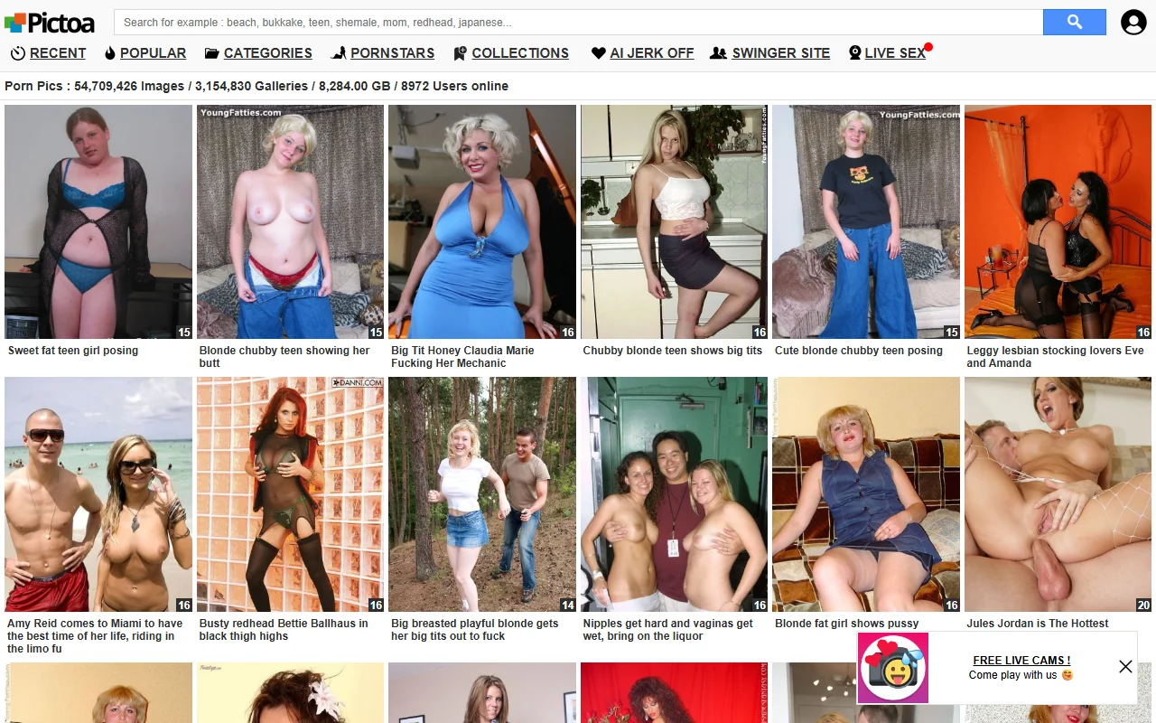 Screenshot of Pictoa